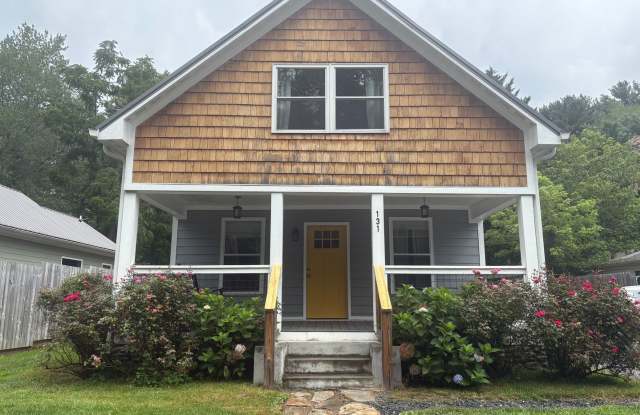 Partially Furnished Rental Walking Distance to Downtown Black Mountain! photos photos