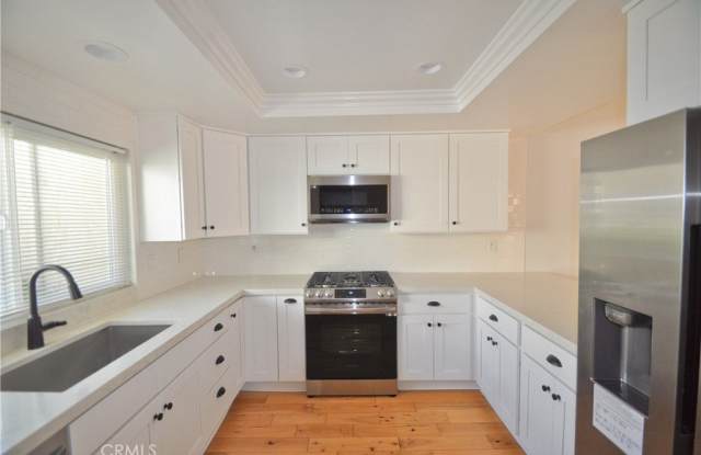 6 Acorn photos photos