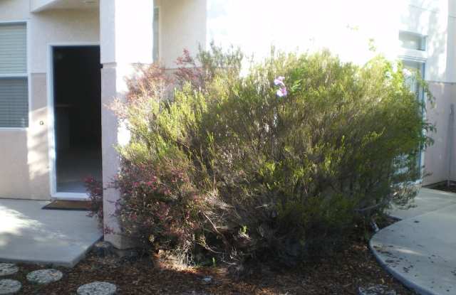 1201 MANZANITA Gallery 2