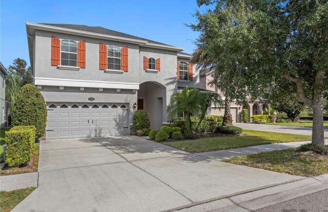 19303 WATER MAPLE DRIVE - 19303 Water Maple Drive, Tampa, FL 33647