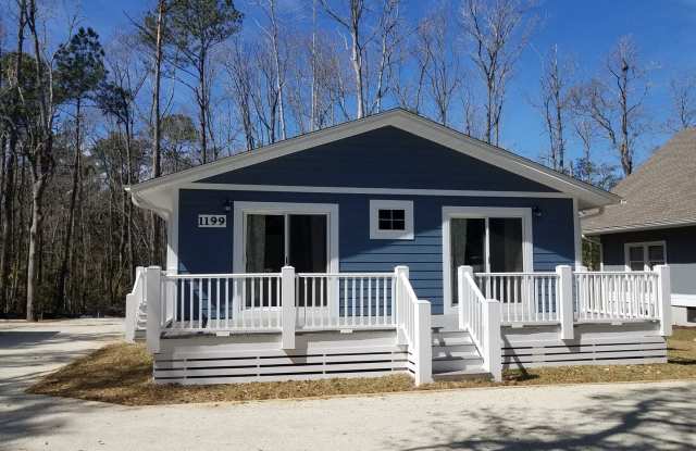 1199 Petigru Dr. - 1199 Petigru Drive, Georgetown County, SC 29585