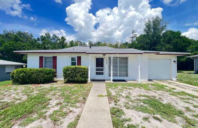 Charming Deltona Lakes Home! photos photos