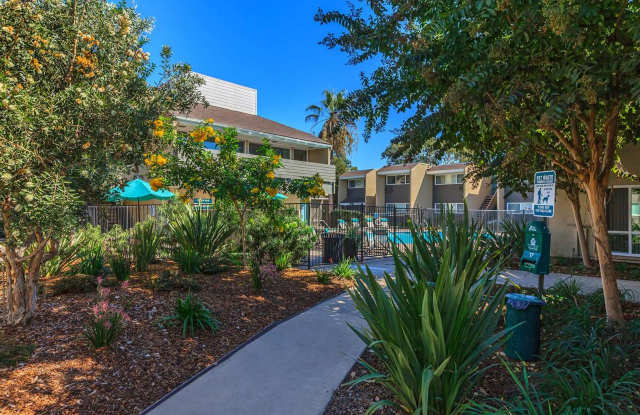 Vue at Lake Murray Apartments Gallery 4