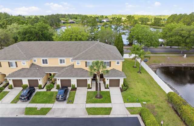 20484 NEEDLETREE Drive Gallery 1