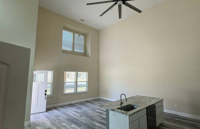 NEW BUILD - Modern Living at its best - HIGH CEILINGS - NO WATER BILL - 1316 Johnson Bend Road, Parker County, TX 76088