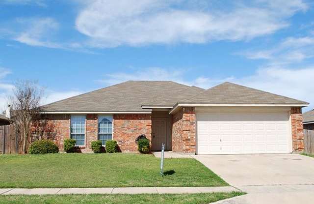 5225 Malibu Street - 5225 Malibu Street, Fort Worth, TX 76244