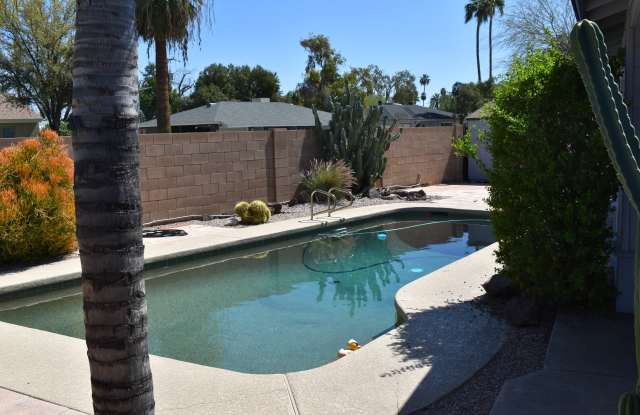 1311 E Palo Verde Drive Gallery 3