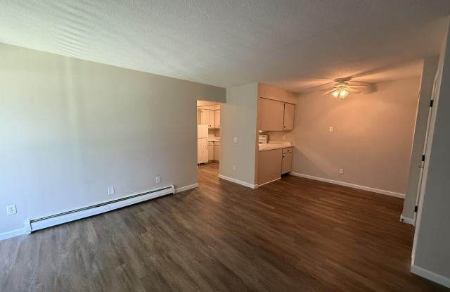 244 East Oak Street - 244 East Oak Street, Montrose, MI 48457
