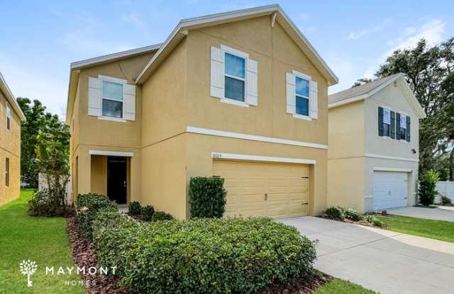 10105 Hawk Storm Avenue - 10105 Hawk Storm Avenue, East Lake-Orient Park, FL 33610