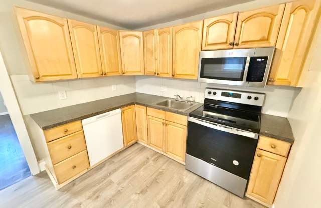 Newly Renovated 2 Bedroom with Off-Street Parking - 138 Ballou Avenue, Boston, MA 02124