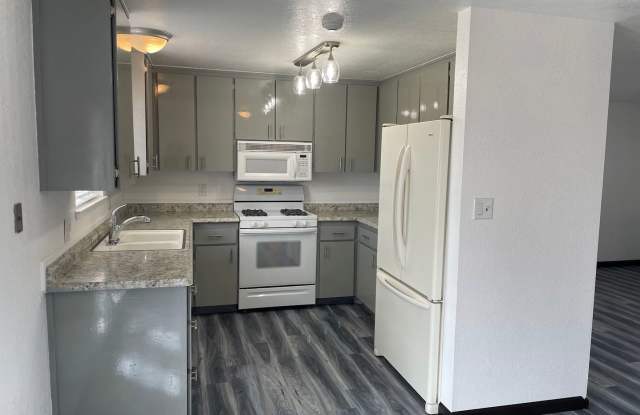 Newly remodeled Carson City home Gallery 4