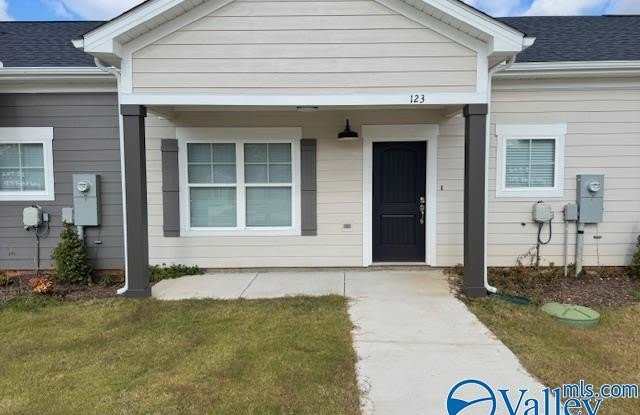 123 Foster Way Drive - 123 Foster Way Drive, Madison County, AL 35806