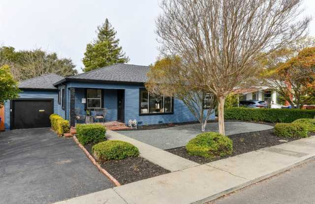 1509 Banks Avenue Gallery 3