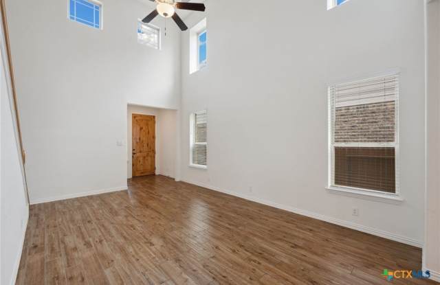 2013 Flametree Avenue Gallery 4
