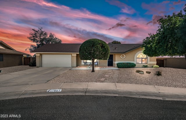 17803 N 137TH Drive - 17803 North 137th Drive, Sun City West, AZ 85375