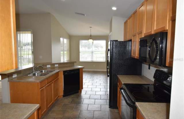 11107 SILVER DANCER DRIVE Gallery 3