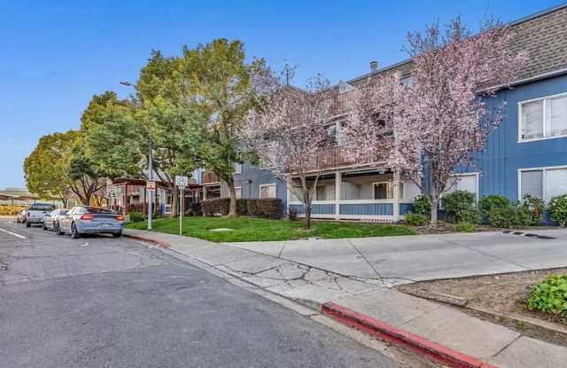 1457 North Camino Alto Gallery 1