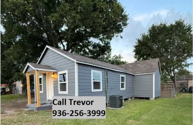 110 Millican Street - 110 Millican Street, Brazoria, TX 77422