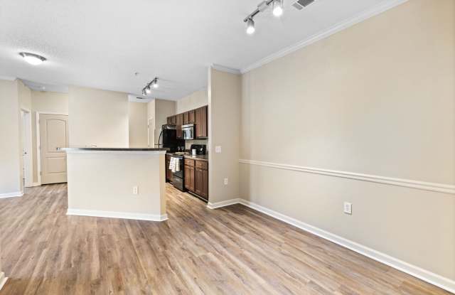 Odyssey Lake Apartments Gallery 2