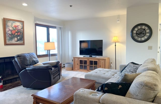 315 E 12th Ave #247 photos photos
