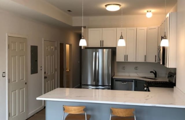 2004 W 19th St 2 - 2004 West 19th Street, Chicago, IL 60608