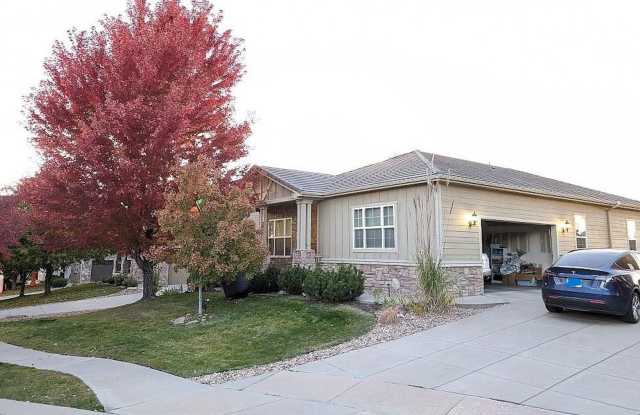 Gorgeous home available in the Anthem neighborhood of Broomfield photos photos