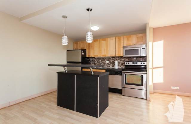 655 W Irving Park Gallery 4