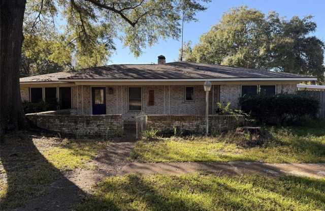 200 S Birch Street - 200 South Birch Street, Van, TX 75790