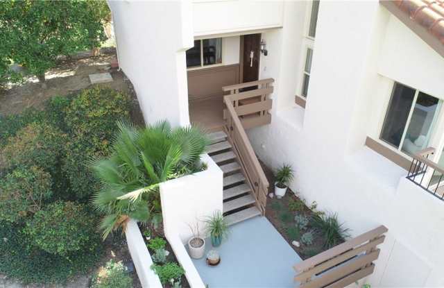 26466 Zoraida Gallery 3