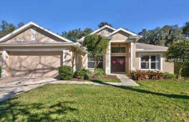 6008 Tealside Court - 6008 Tealside Court, Fish Hawk, FL 33547