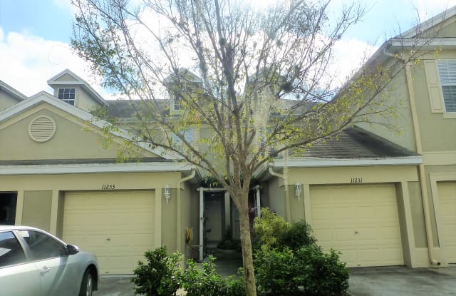 11233 Windsor Place Cir - 11233 Windsor Place Circle, Westchase, FL 33626