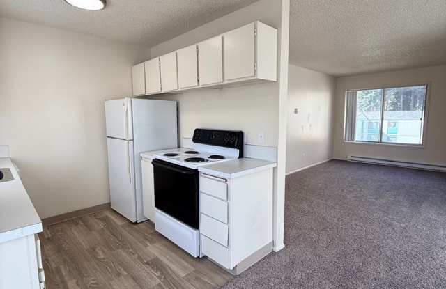 Sunnyside Village Apartments Gallery 3