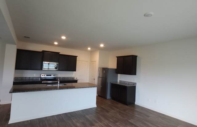 Move-In Special! SAVANNAH PLACE 4 bedroom In Converse, TX Gallery 4