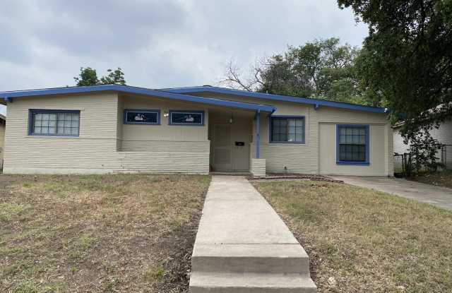 242 Fennel photos photos