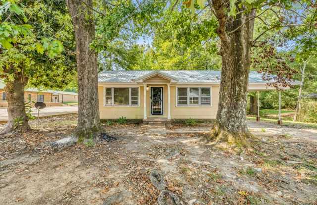 Renovated 3 Bedroom 2 Bath Home for Rent! Gallery 1