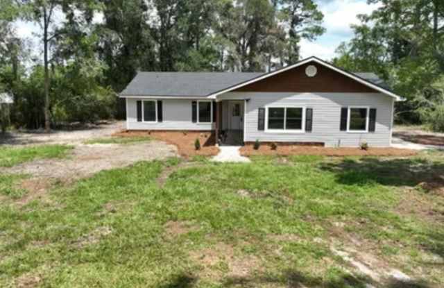 Beautiful 4BR 2BA home in Lakeland, GA photos photos