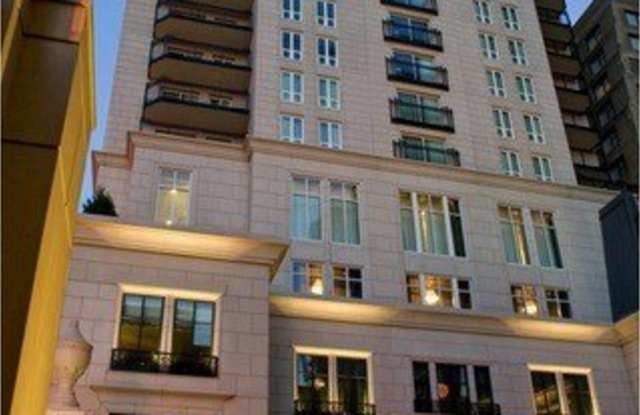 11 E Walton Street unit: 4302 photos photos