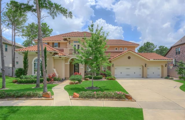 191 S Thatcher Bend Circle - 191 Thatcher Bend Circle, The Woodlands, TX 77389
