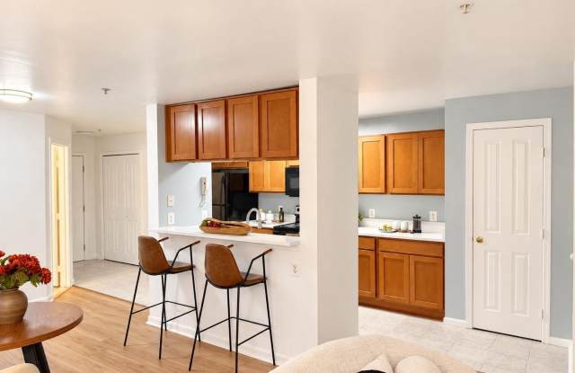 4104-H MONUMENT Court Gallery 4