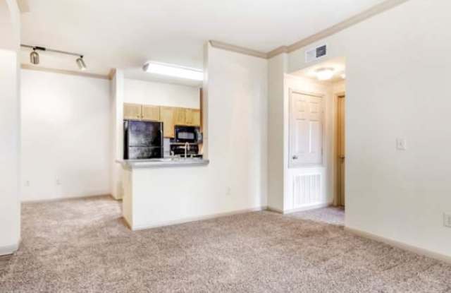 1735 N Loop 1604 W Gallery 2