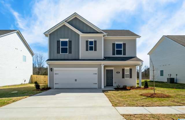 608 PINE VALLEY TRAIL photos photos