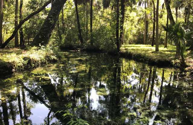 1/1 Waterfront Cabin with Headspring on Property in Homosassa!!! Gallery 4