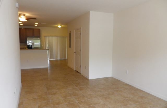 Gated Fishhawk Townhome! Gallery 3