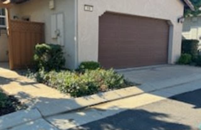 206 W Erics Way - 206 West Erics Way, Mountain House, CA 95391
