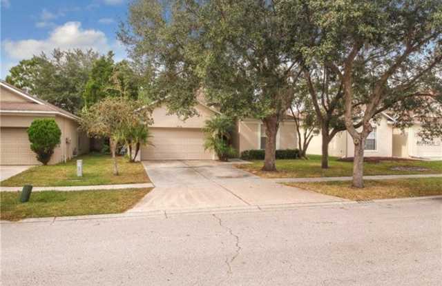 19106 Wood Sage Drive - 19106 Wood Sage Drive, Tampa, FL 33647