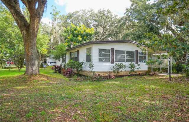 917 ALOHA WAY - 917 Aloha Way, Lake County, FL 32159