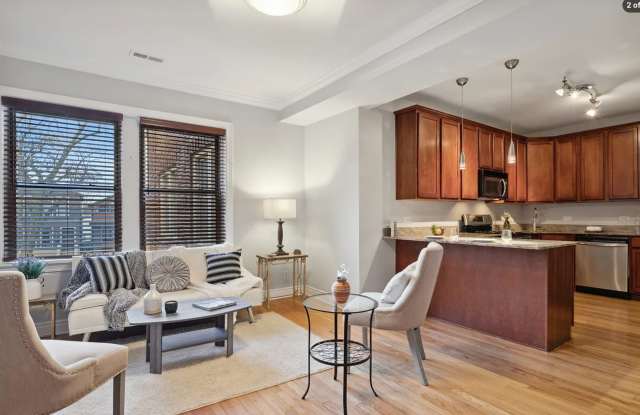 Spacious 2-Bedroom Apartment in Bucktown with In-Unit Laundry photos photos Spacious 2-Bedroom Apartment in Bucktown with In-Unit Laundry photos photos