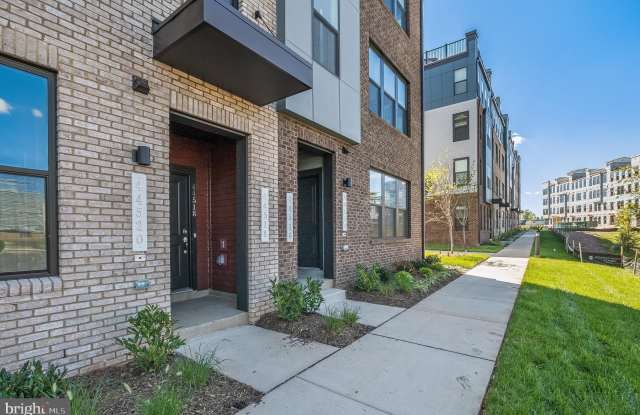 44514 WOLFHOUND Square Gallery 4