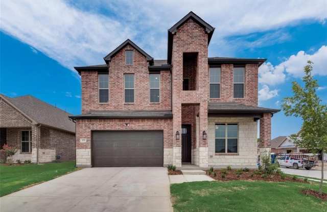 373 Braves Way - 373 Braves Way, Collin County, TX 75173