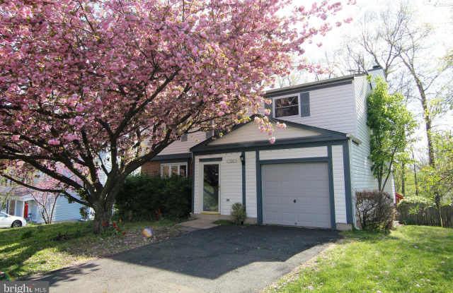 15251 LOUIS MILL DRIVE - 15251 Louis Mill Drive, Chantilly, VA 20151
